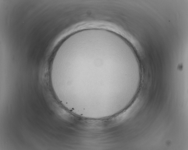 X0000116591498201001211315