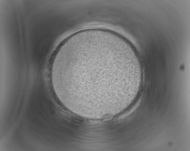 X0000116591501201001211315