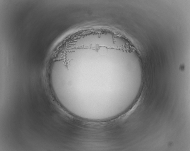 X0000116591502201001211315