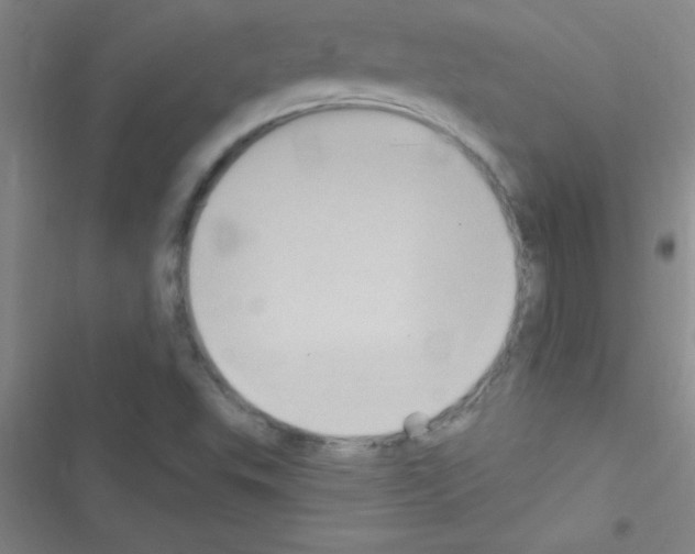 X0000116591503201001211315