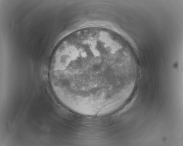 X0000116591505201001211315