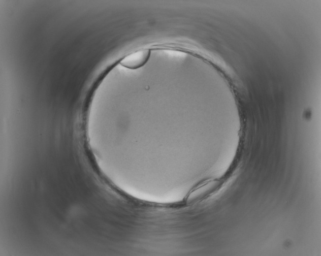 X0000116591506201001211315