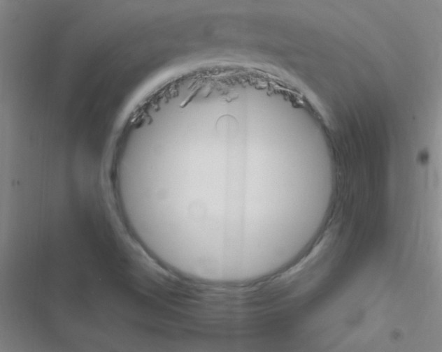 X0000116591510201001211315