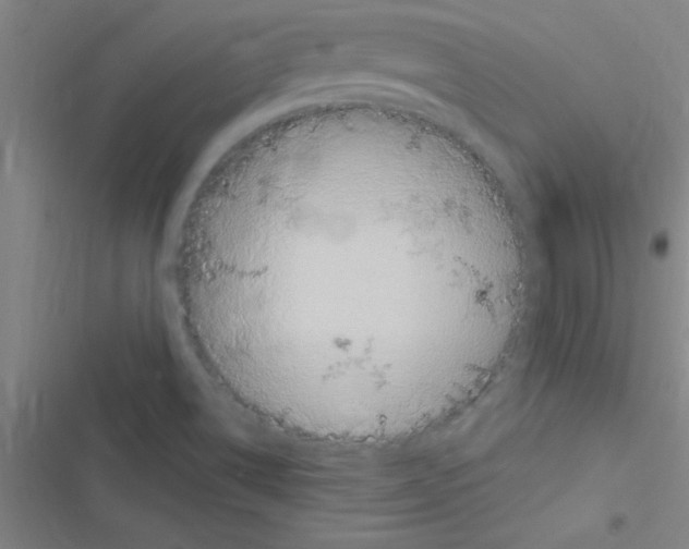 X0000116591514201001211315