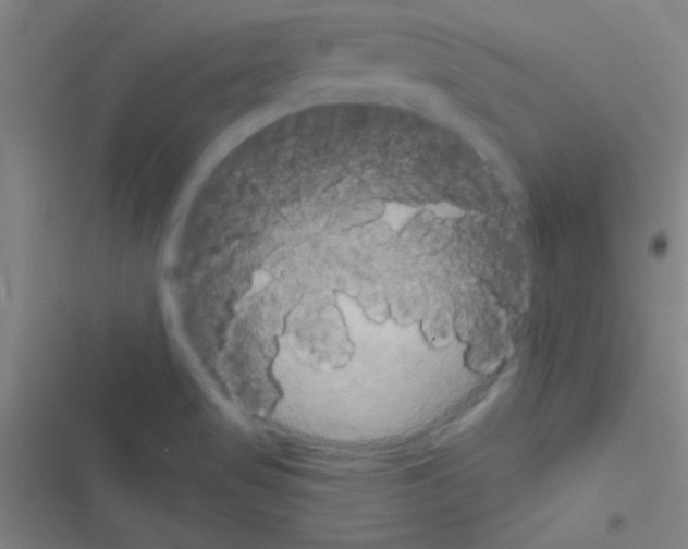 X0000116591517201001211315