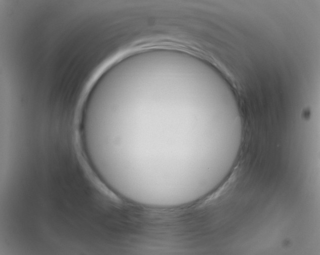 X0000116591518201001211315