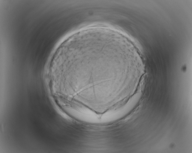 X0000116591519201001211315