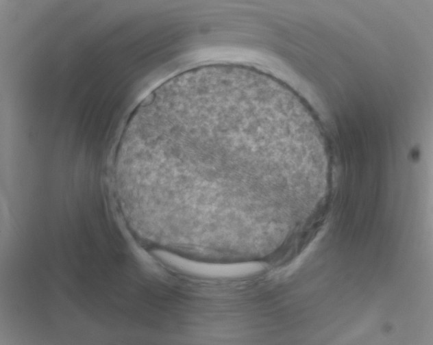 X0000116591521201001211315