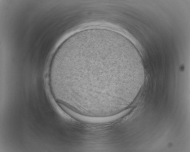 X0000116591523201001211315