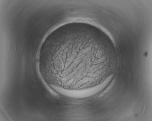 X0000116591525201001211315