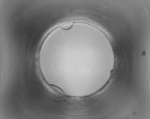 X0000116591526201001211315