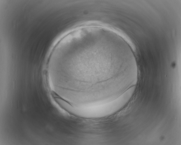 X0000116591527201001211315