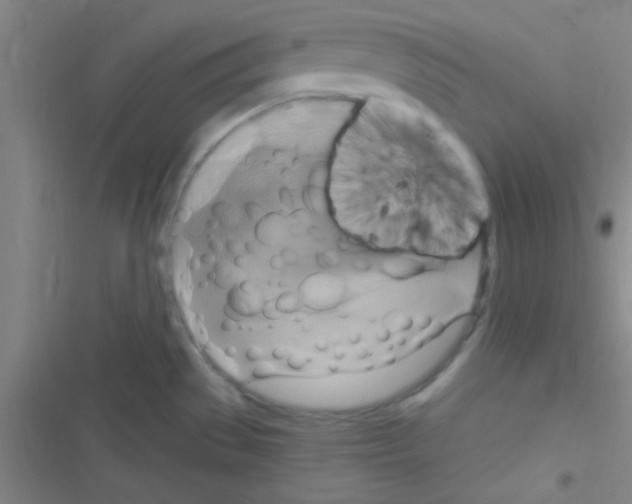 X0000116591529201001211315