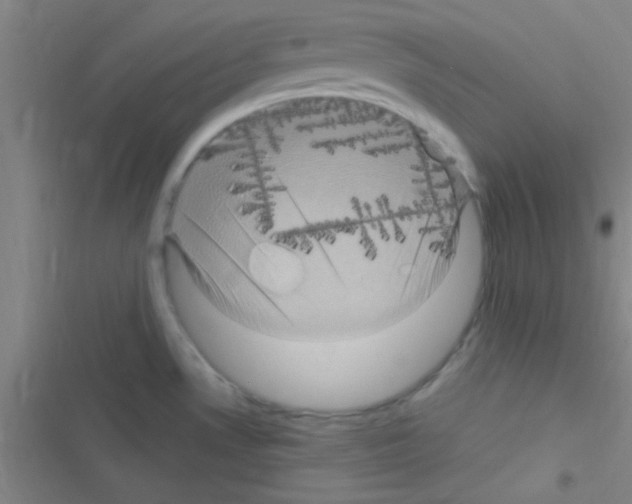 X0000116591530201001211315