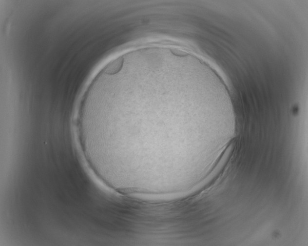 X0000116591531201001211315