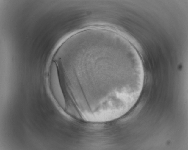 X0000116591533201001211315