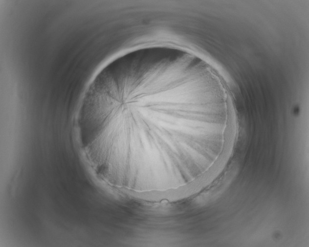 X0000116591534201001211315