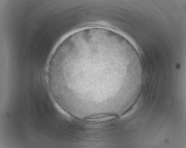 X0000116591535201001211315