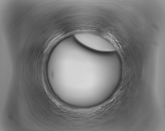 X0000116600001200912110949