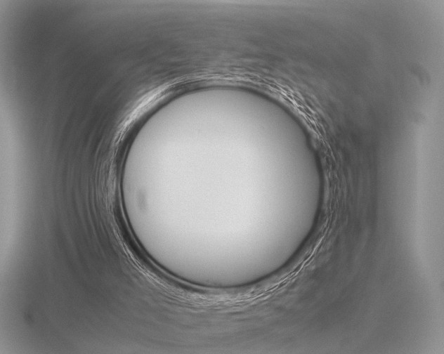 X0000116600005200912110949