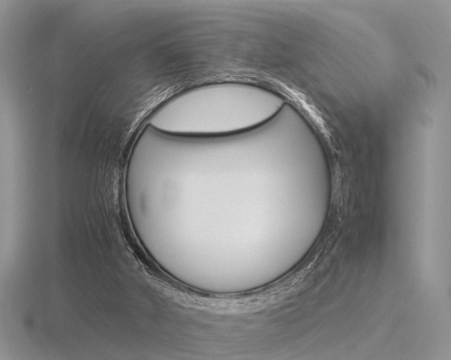 X0000116600010200912110949