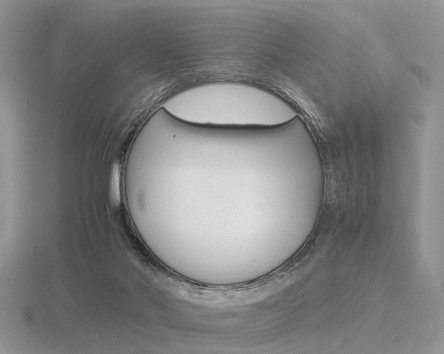 X0000116600022200912110949
