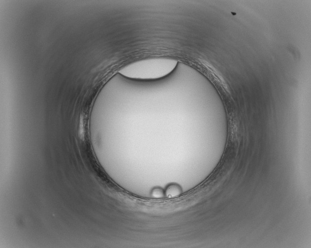 X0000116600026200912110949
