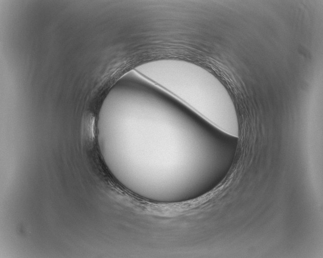 X0000116600041200912110949