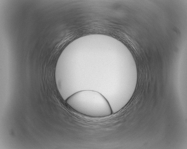 X0000116600043200912110949