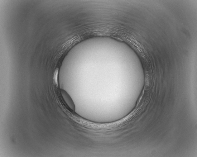 X0000116600047200912110949
