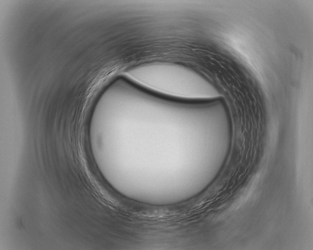 X0000116600049200912110948