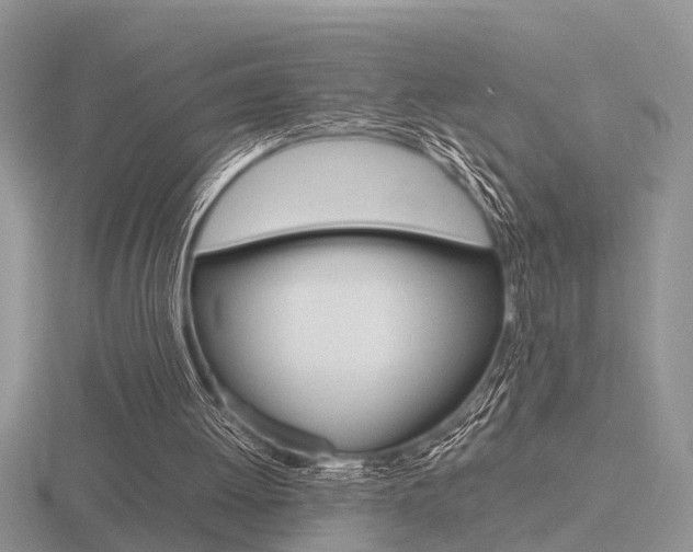 X0000116600052200912110948