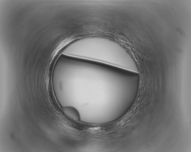 X0000116600054200912110948