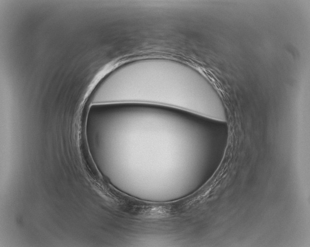 X0000116600056200912110948