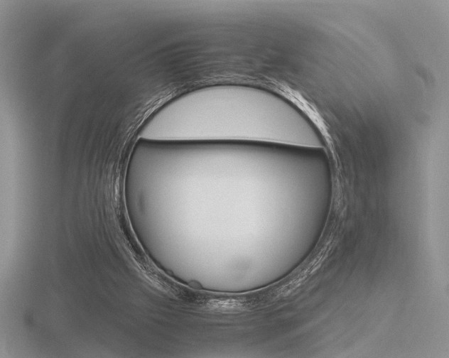 X0000116600057200912110948