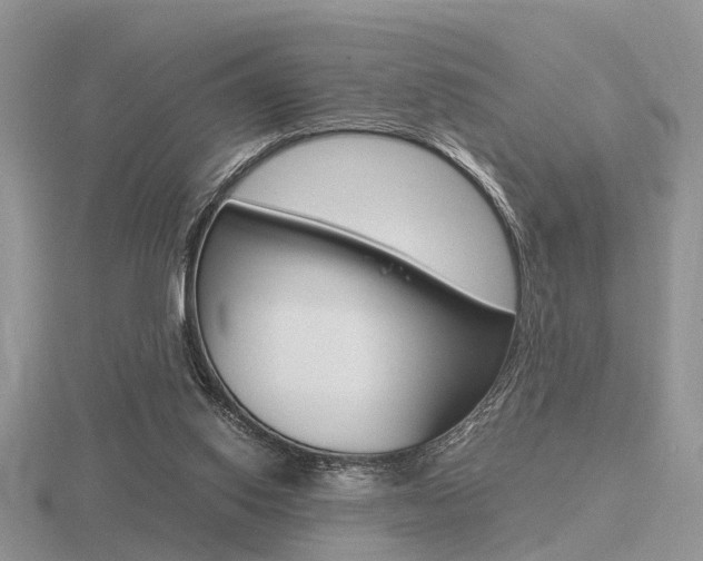 X0000116600062200912110948