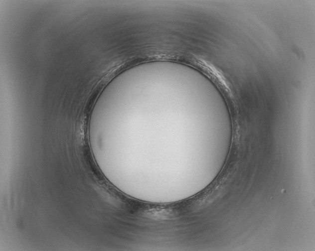 X0000116600065200912110948