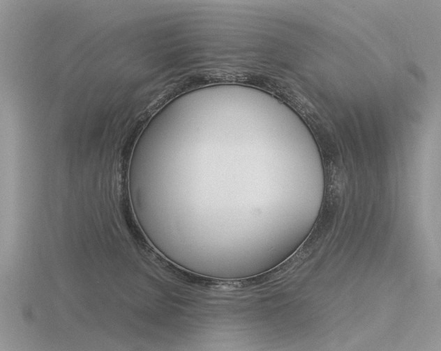 X0000116600080200912110949