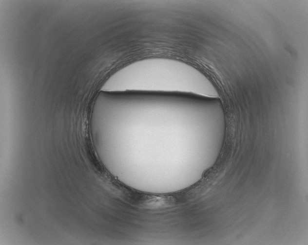 X0000116600083200912110949