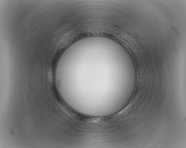 X0000116600086200912110949