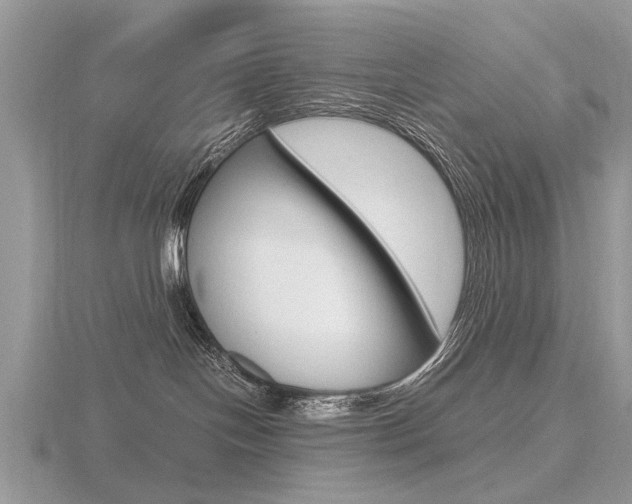 X0000116600094200912110949