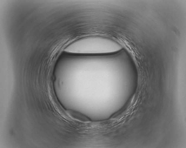 X0000116600097200912110948