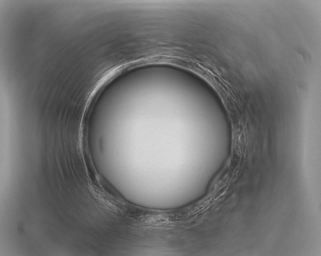 X0000116600100200912110948