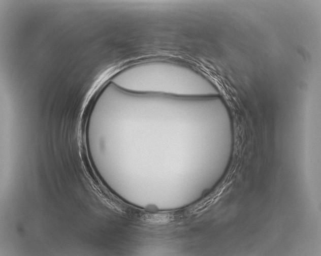 X0000116600102200912110948
