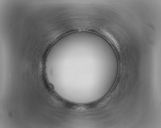 X0000116600113200912110948