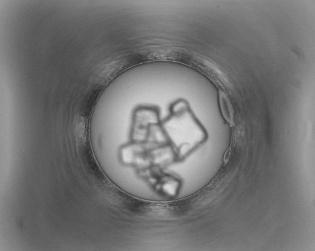 X0000116600121200912110948