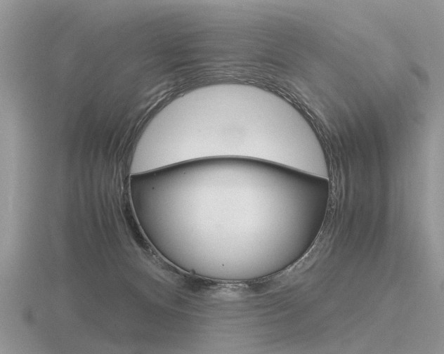 X0000116600128200912110948