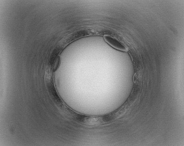 X0000116600129200912110948