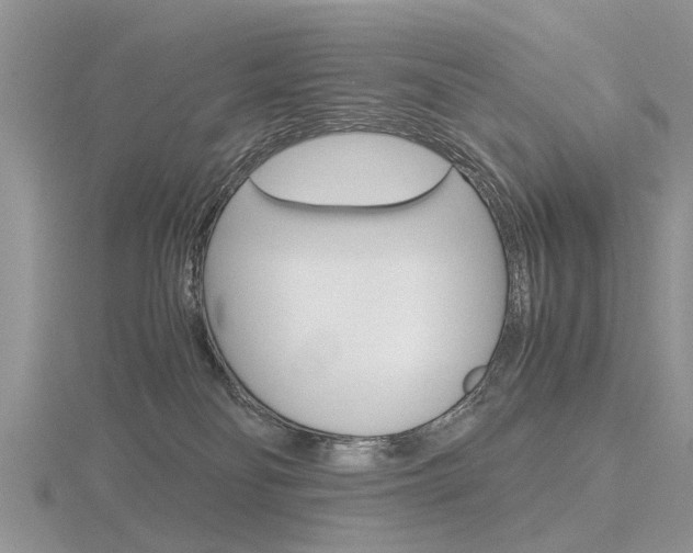 X0000116600134200912110948
