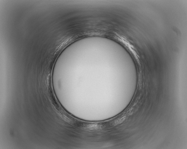 X0000116600153200912110947
